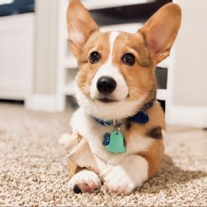 Meet your Posher, Mariel